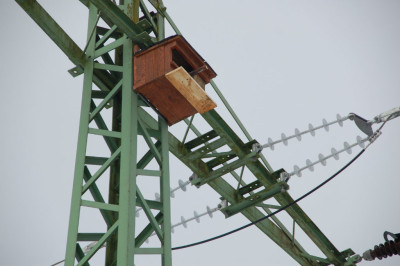 Monteure der Westnetz montierten eine Nisthilfe für Turmfalken an der Freileitung zwischen Niederstadtfeld und Wallenborn, oberhalb des Baugebietes „In der Acht“. Foto: RWE