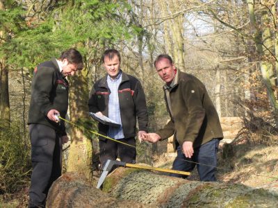 Die beiden Forstwirtschaftsmeister Volker Pantenburg und Robert Kasper (von links) teilen gemeinsam mit dem Holzkäufer Alois Enders Eichenstämme ein, um eine optimale Wertschöpfung zu ermöglichen. (Foto: DietmarEbi / Landesforsten RLP) 
