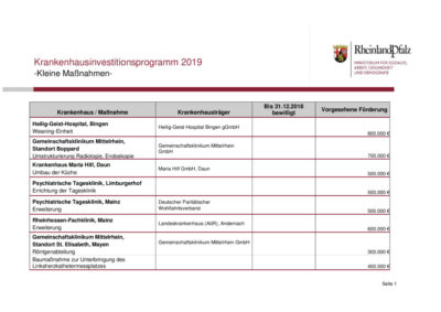 thumbnail of Investitionsprogramm 2019_Kleine Maßnahmen