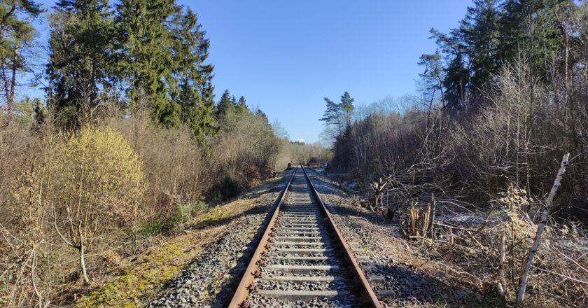 Ein Bahngleis führt geradewegs durch eine Naturlandschaft. Links und Rechts der Strecke sind Bäume.
